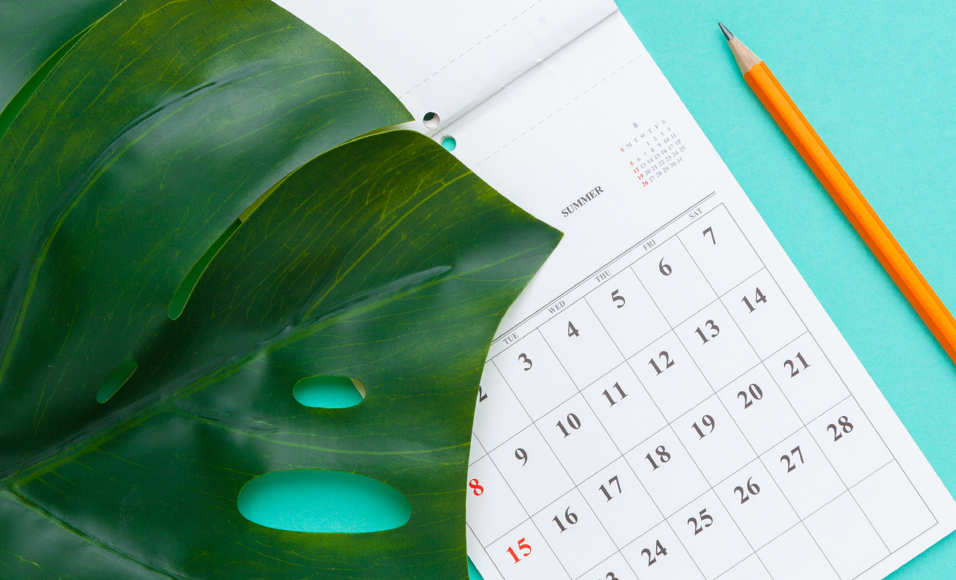 photo of calendar laying on a backdrop with monstera leaf and pencil